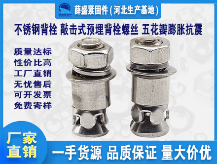 不銹鋼背栓 敲擊式預(yù)埋背栓螺絲 五花瓣膨脹抗震