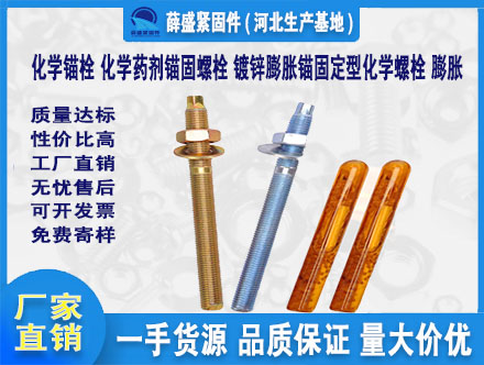 化學(xué)錨栓 化學(xué)藥劑錨固螺栓 鍍鋅膨脹錨固定型化學(xué)螺栓 膨脹