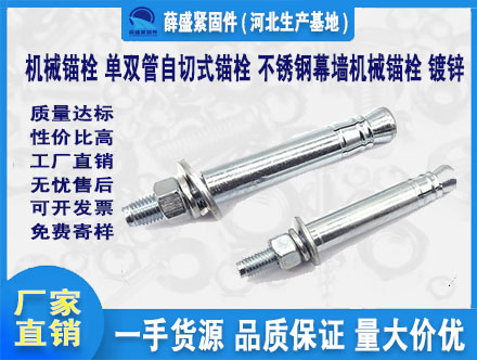 機(jī)械錨栓 單雙管自切式錨栓 不銹鋼幕墻機(jī)械錨栓 鍍鋅