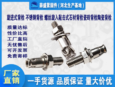 旋進(jìn)式背栓 不銹鋼背栓 螺絲旋入敲擊式石材背栓瓷磚背栓陶瓷背栓
